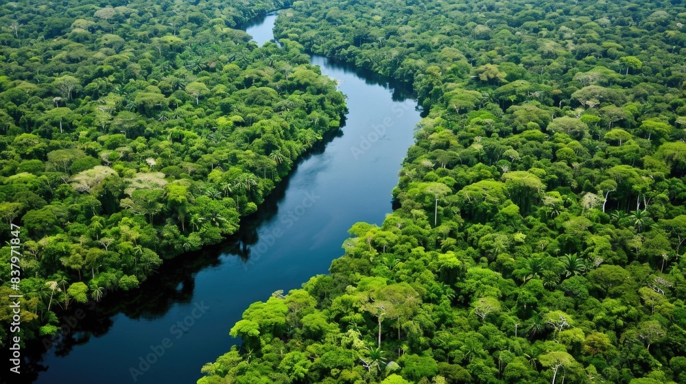 A serene river runs through a densely wooded area with vibrant green foliage A serene river runs through a densely wooded area with vibrant green foliage