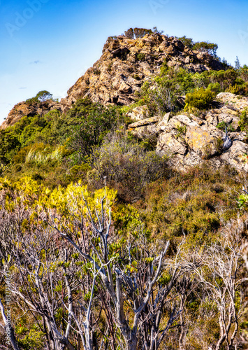 From the trail to Lake Osborne, Hartz Mountain National Park, Tasmania, Australia photo