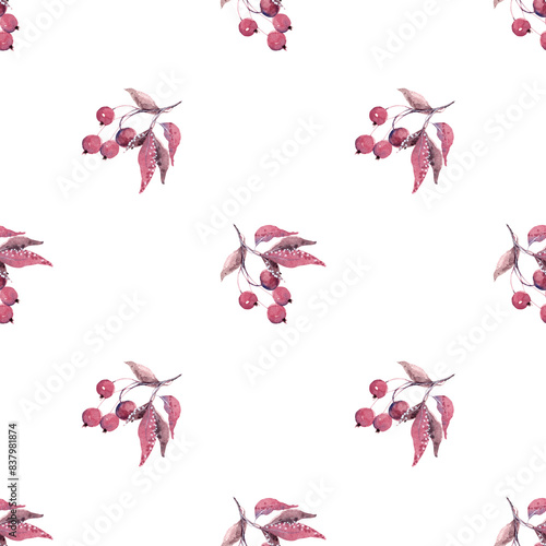 Organic berry bunch pattern. Rowan branch. Autumn seamless print. Art print. Watercolor illustration. White background