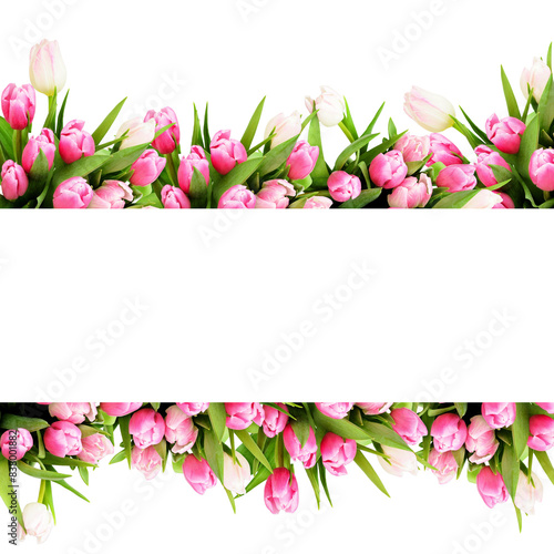 Pink tulip flowers in a flo...