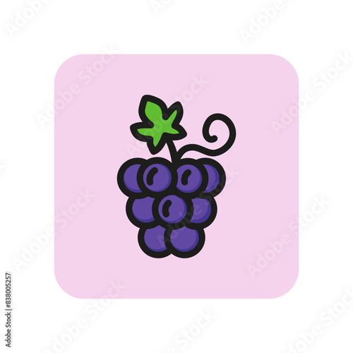 Grape line icon. Bunch, wine, leaf, berry. Food concept. Can be used for topics like restaurant, winery, vineyard, juice.