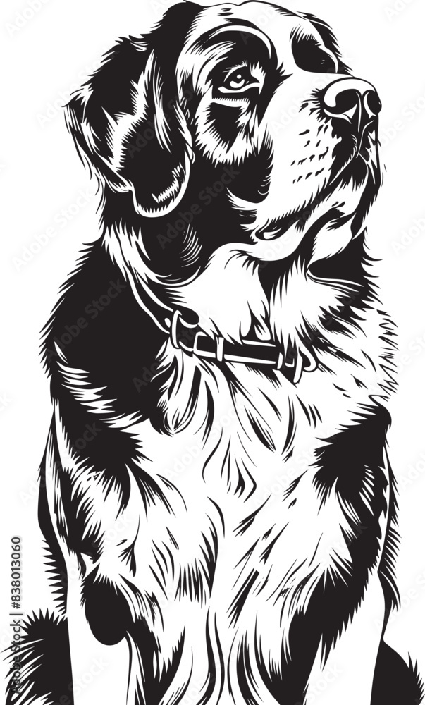 Fototapeta premium St. Bernard dog clipart, St. Bernard black vector