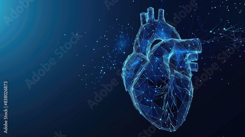 Abstract blue human heart. Heart anatomy. Healthcare medical concept photo