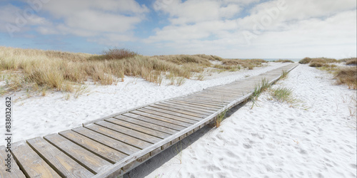 Boardwalk leading through the sand dunes to the beautiful white beach Dueodde on the island Bornholm in Denmark.