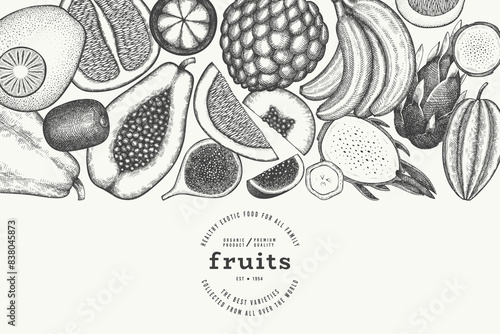 Tropical Fruit Design Template. Vector Hand Drawn Exotic Fruit Banner. Vintage Style Menu Illustration.
