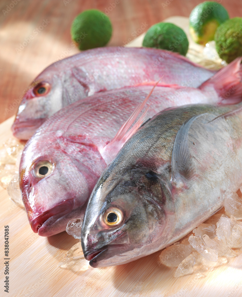 Fische, Atlantik, Fischfang, Ghana, westafrika, Doraden, Fische, Atlantik, Fischfang, Ghana, westafrika, Doraden,