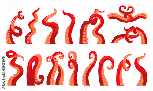 Octopus tentacles set. Cartoon body parts, ocean squid elements. Seafood, marine restaurant symbols. Underwater animals, neoteric vector set