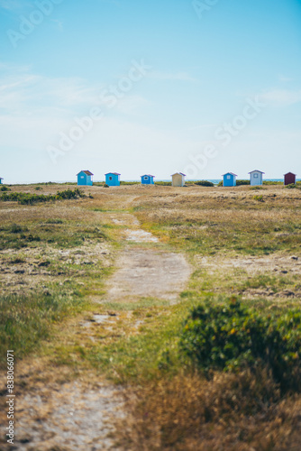 Skanör Strand in Südschweden. Farbfrohe Strandhütten in Schweden.  photo