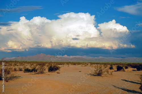 Central Sonora Desert Arizona