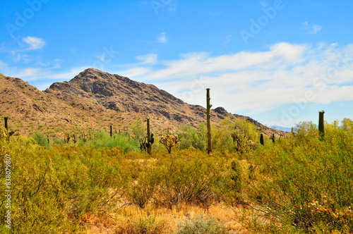 San Tan Mountains Sonora Desert Arizona