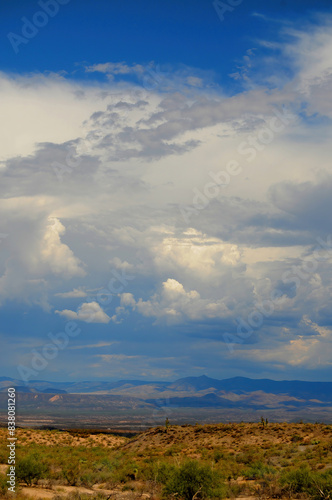 Central Sonora Desert Arizona