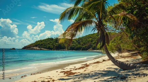 Tropical Island Beach. Beautiful Tropical Beach with Palm Trees on Calm Blue Background