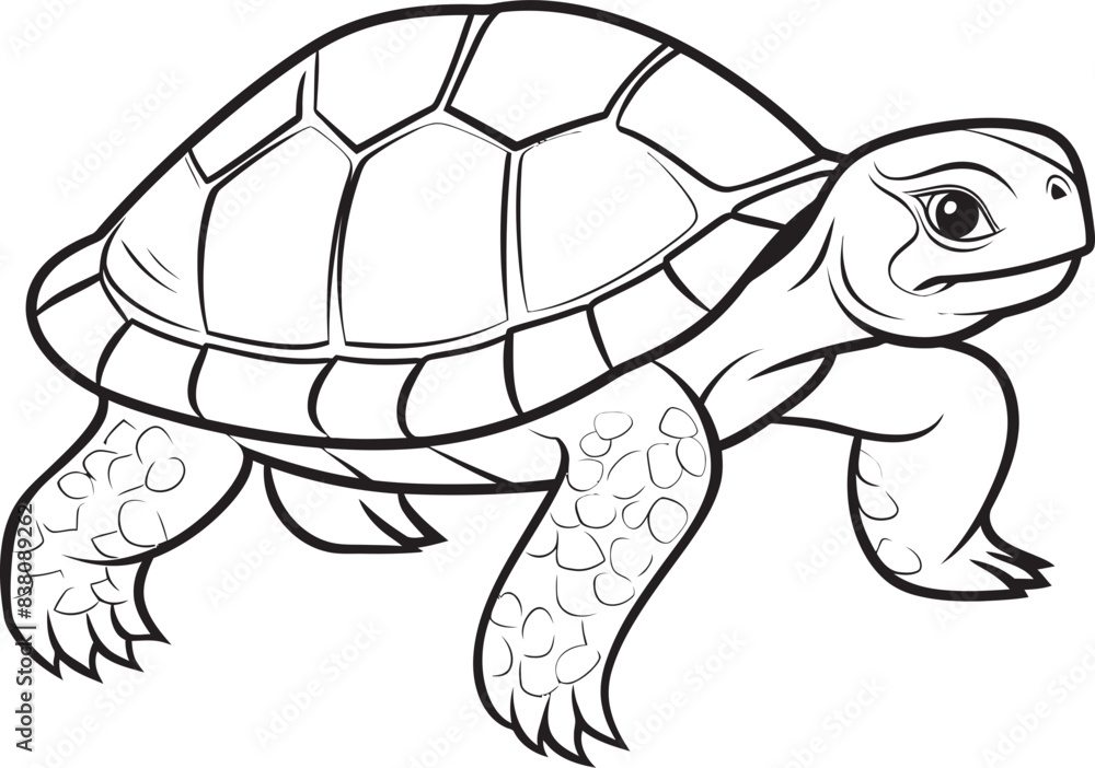 Fototapeta premium Stylish Line Art Turtle Symbol Contemporary Graphic Icon Chic Turtle Logo Clean and Simple Illustration