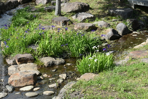 日本の福島県の名所 会津にある亀ヶ城跡 周辺の風景