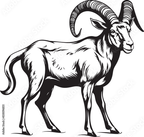 Sleek Ibex Badge Contemporary Icon Design Chic Wild Ibex Logo Simple Graphic Symbol