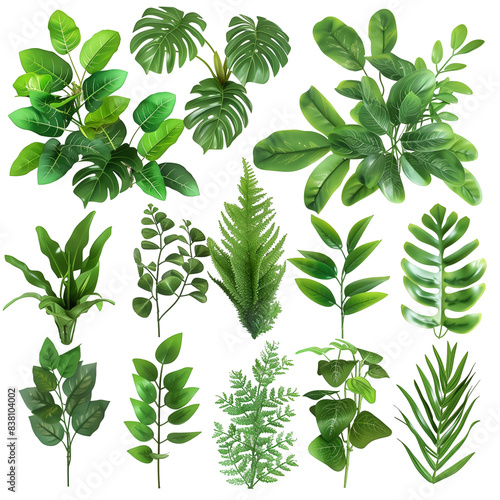 Green Artificial Plant Parts, Isolated on a Transparent Background, Graphic Resource © Rohit k 