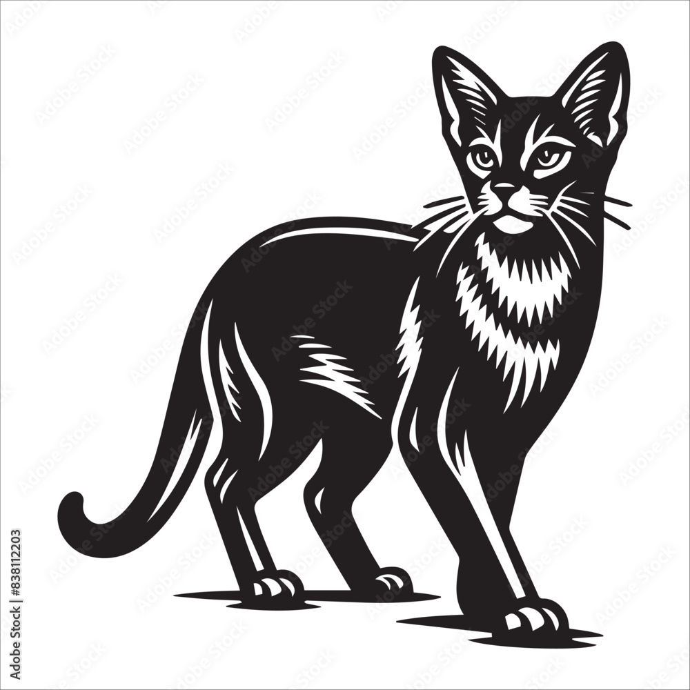 Fototapeta premium Abyssinian cat, vector illustration, silhouette