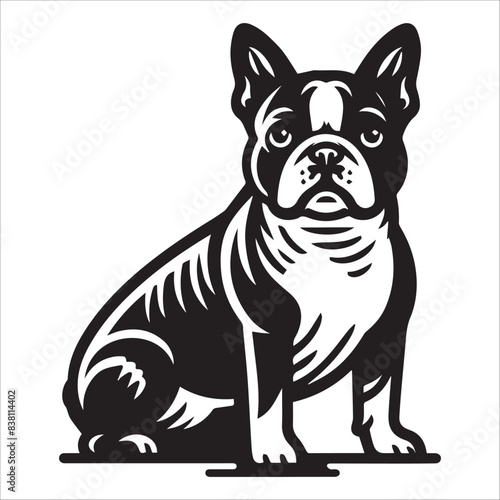 Boston Terrier dog, vector illustration, silhouette