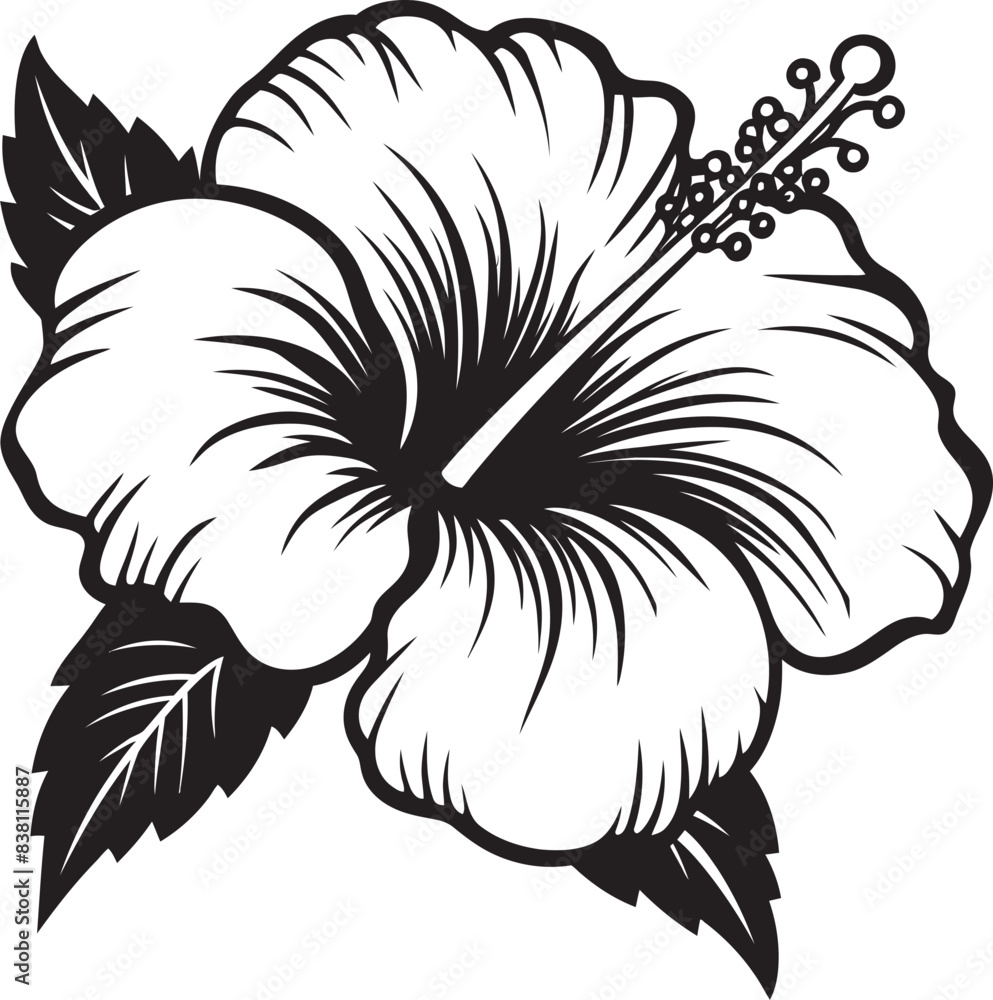 Obraz premium Tropical Hibiscus Essence Minimalist Logo Concept Colorful Hibiscus Oasis Natural Graphic Expression