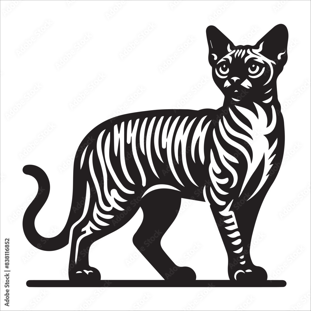 Devon Rex Cat, vector illustration, silhouette Devon Rex Cat, vector illustration, silhouette