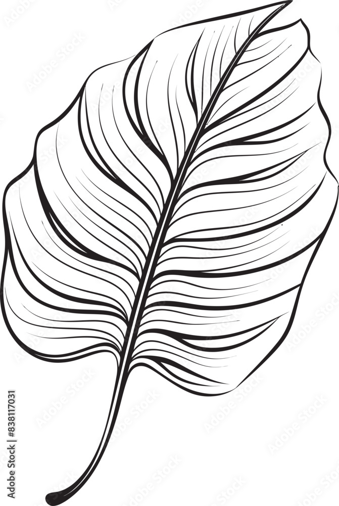 Obraz premium Harmony Creative Creation Artistry Minimalistic Evolution