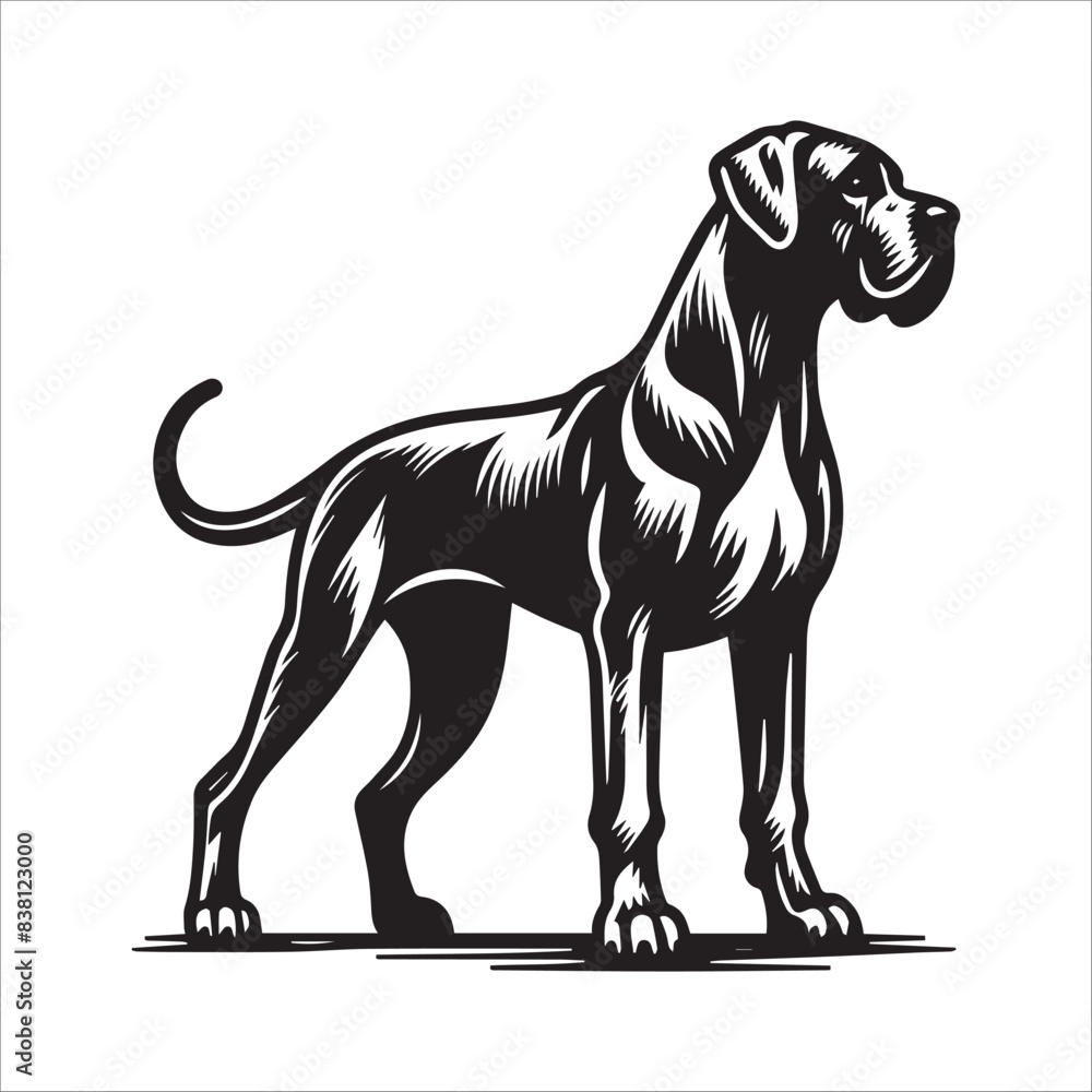Fototapeta premium Great Dane dog, vector illustration, silhouette