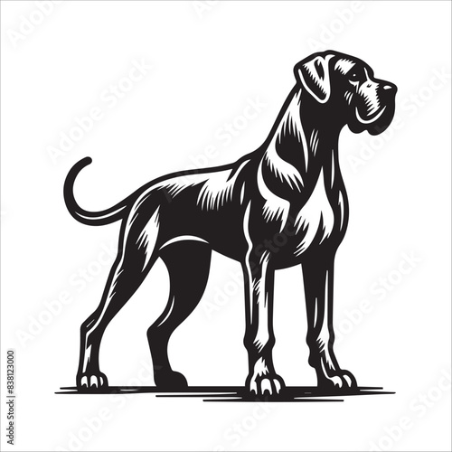 Great Dane dog, vector illustration, silhouette