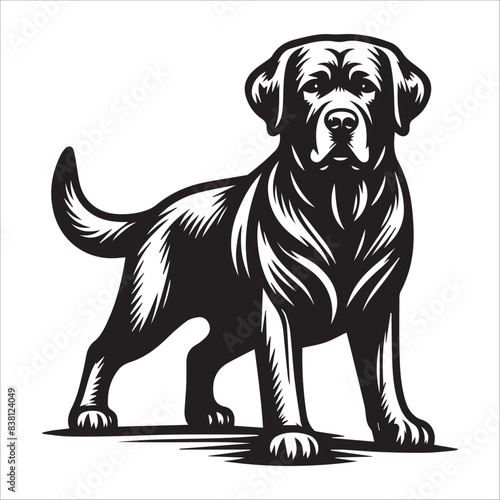 Labrador Retriever, vector illustration, silhouette