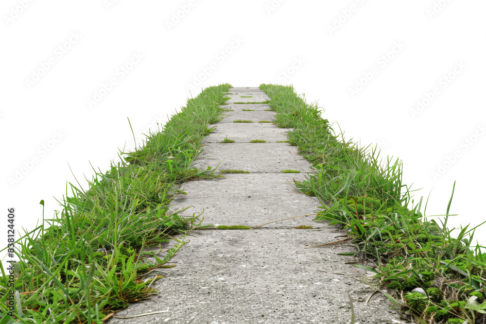 A long, narrow path with grass growing on the sides A long, narrow path with grass growing on the sides