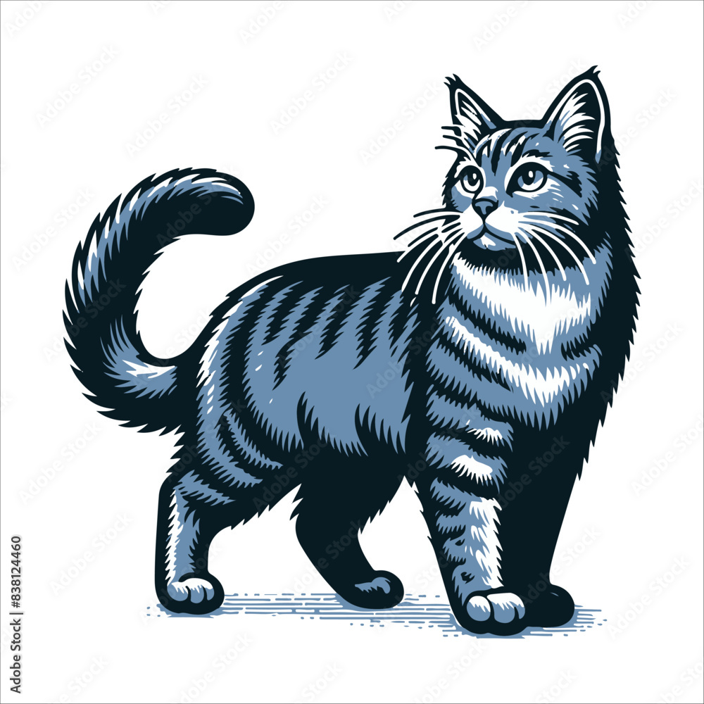 Fototapeta premium Manx cat, vector illustration, silhouette