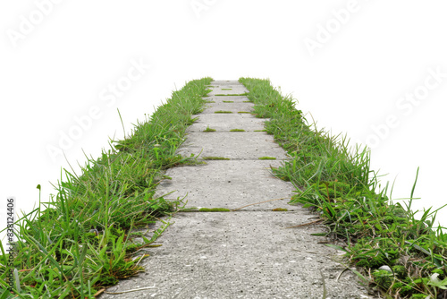A long, narrow path with grass growing on the sides