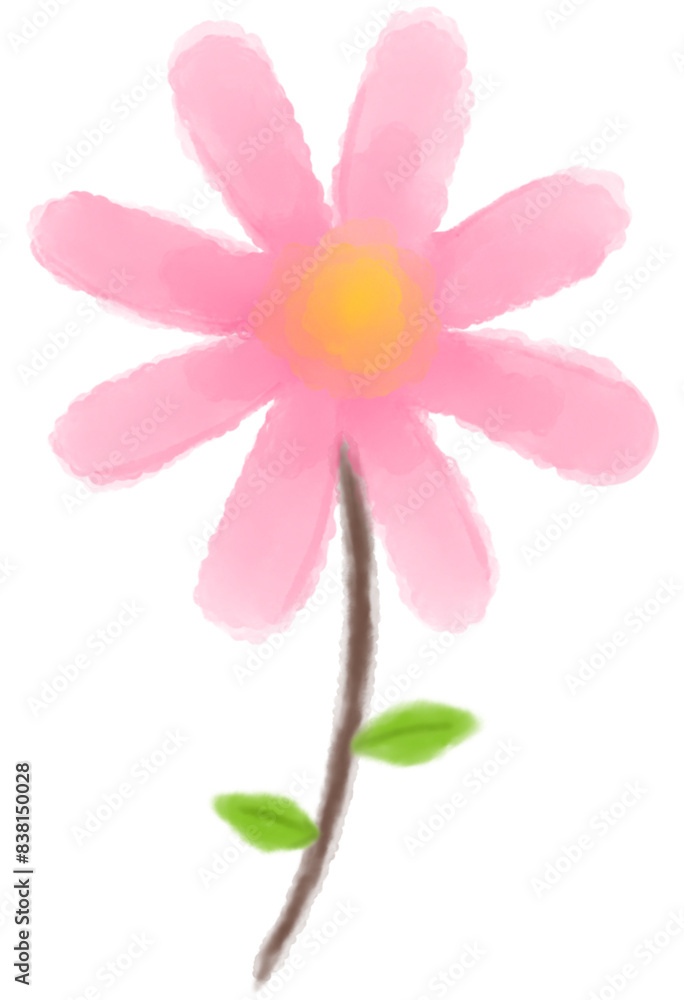 Drawing coloring water Pink daisy flower. Drawing coloring water Pink daisy flower.
