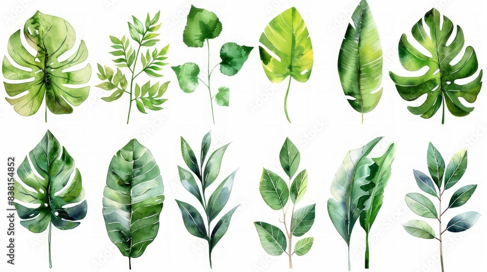 Set of watercolor illustration of green leaves Set of watercolor illustration of green leaves