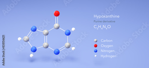 hypoxanthine molecule, molecular structures, nucleoside inosine, 3d model, Structural Chemical Formula and Atoms with Color Coding photo