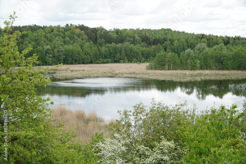 Lake in forest - Masuria, Poland