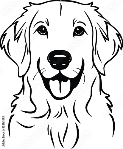 Vector of a retriever on white background