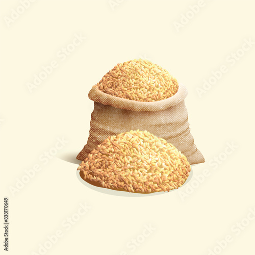 buckwheat in a sack bag