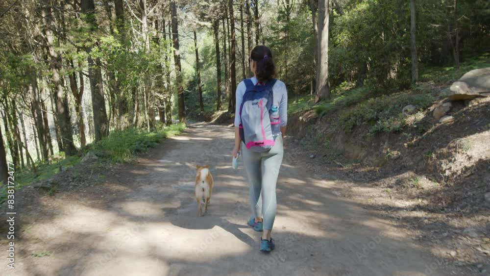 Woman is slowly walking in the company of a Shiba Inu dog on a leash in the forest or in a park on a spring day. Woman is slowly walking in the company of a Shiba Inu dog on a leash in the forest or in a park on a spring day.