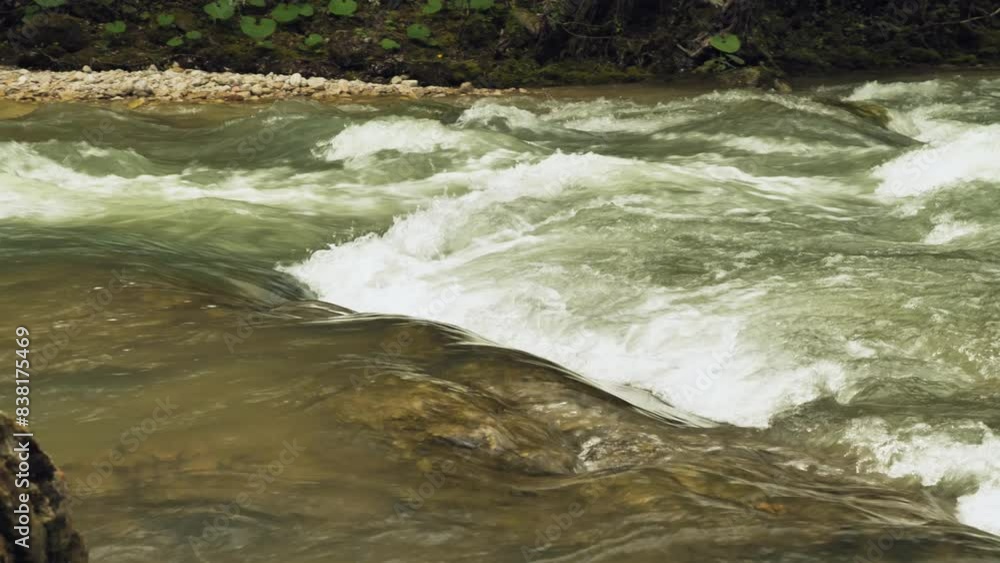 A fast mountain river with rapids. Transparent greenish-brown water flows in a rocky channel. The beauty of wild nature A fast mountain river with rapids. Transparent greenish-brown water flows in a rocky channel. The beauty of wild nature