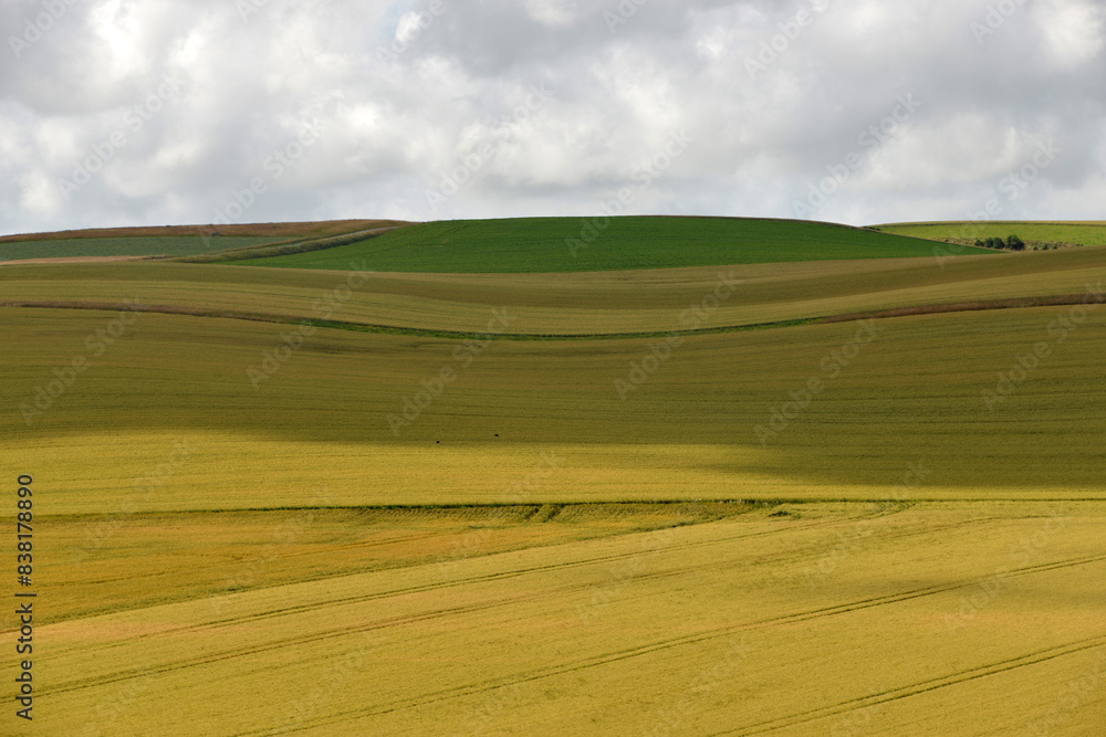 quiet abd peaceful landscape at Cap Blanc Nez at the Normandy coast opposite to Dover quiet abd peaceful landscape at Cap Blanc Nez at the Normandy coast opposite to Dover