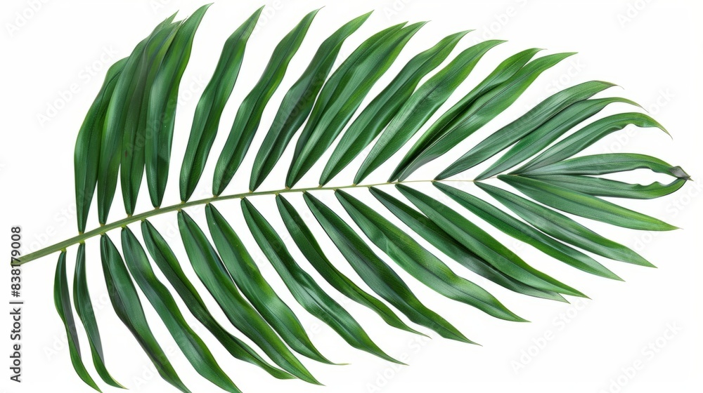 Tropical green palm leaf generative ai Tropical green palm leaf generative ai
