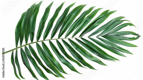 Tropical green palm leaf generative ai