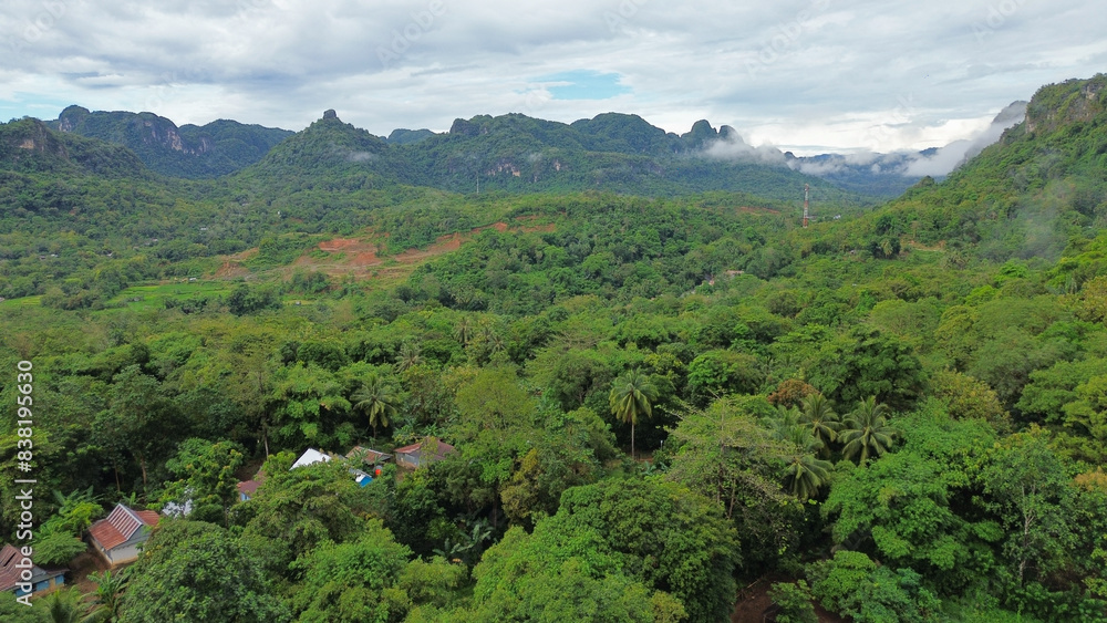 Aerial view of mountains with rice fields and trees around it Aerial view of mountains with rice fields and trees around it