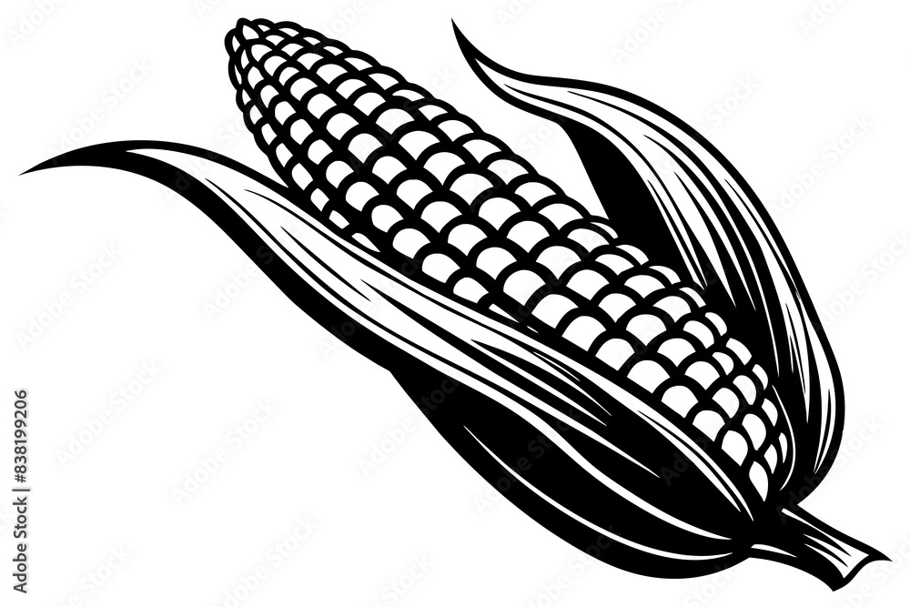 corn silhouette vector illustration corn silhouette vector illustration