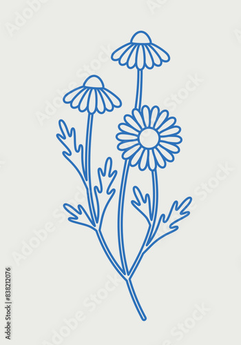 Vector camomile illustration. Line art, retro. Plants and herbs for cosmetics.