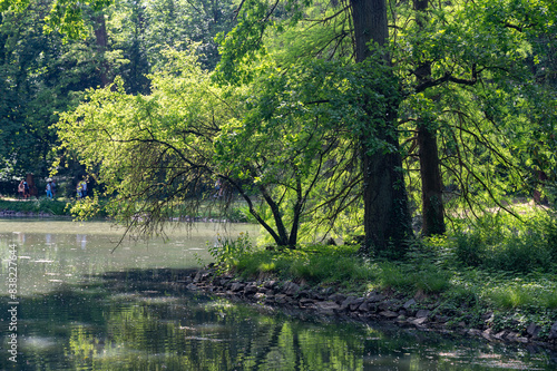 A lake in green nature with trees