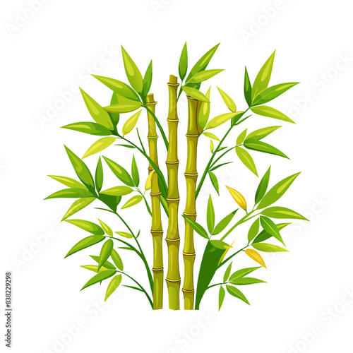 bamboo leaves isolated on white