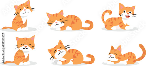 Set of adorable orange cats in multiple playful and relaxed poses