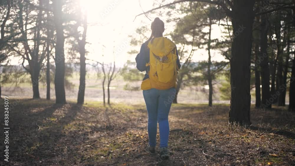 free girl tourist with a backpack walk on a trip through the forest. travel adventure expression concept. free girl hiker freedom with a backpack in forest glare of sun walk on hike adventure free girl tourist with a backpack walk on a trip through the forest. travel adventure expression concept. free girl hiker freedom with a backpack in forest glare of sun walk on hike adventure
