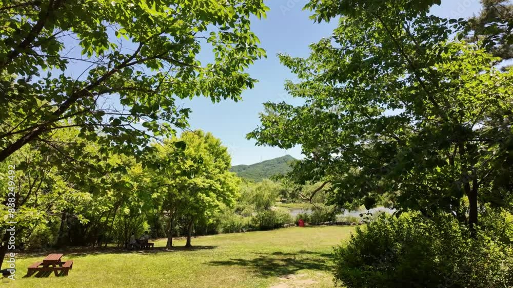 Seoul Grand Park nature scenery in Gwacheon, Korea Seoul Grand Park nature scenery in Gwacheon, Korea